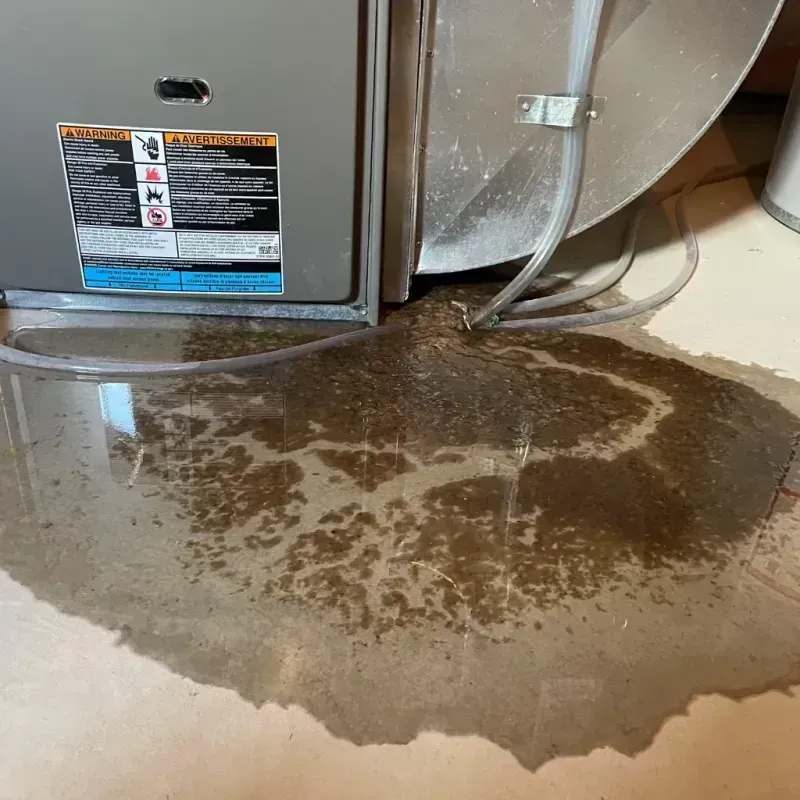 Appliance Leak Cleanup in Algood, TN